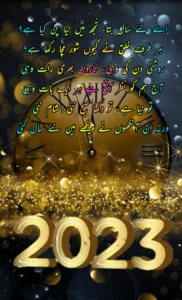 Niya saal/New year 2023