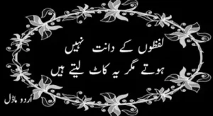 23 + Urdu quotes : Urdu motivational and sad quotes