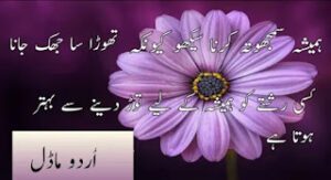 Urdu quotes