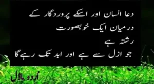 23 + Urdu quotes : Urdu motivational and sad quotes