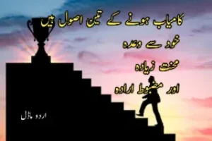 23 + Urdu quotes : Urdu motivational and sad quotes