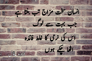 23 + Urdu quotes : Urdu motivational and sad quotes