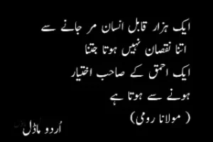 23 + Urdu quotes : Urdu motivational and sad quotes