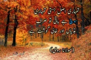 23 + Urdu quotes : Urdu motivational and sad quotes