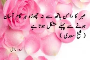 23 + Urdu quotes : Urdu motivational and sad quotes