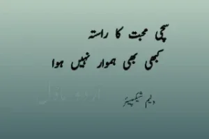 23 + Urdu quotes : Urdu motivational and sad quotes