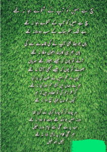 Shero shayari urdu