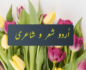 Shero shayari urdu