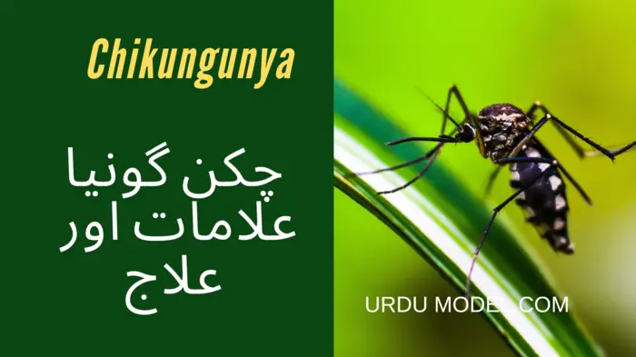 Chikungunya