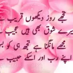 mere shoq hen ajeeb se