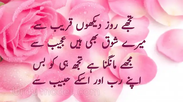 Tujhe roz rekhon  qareeb se /تجھے روز دیکھوں قریب سے